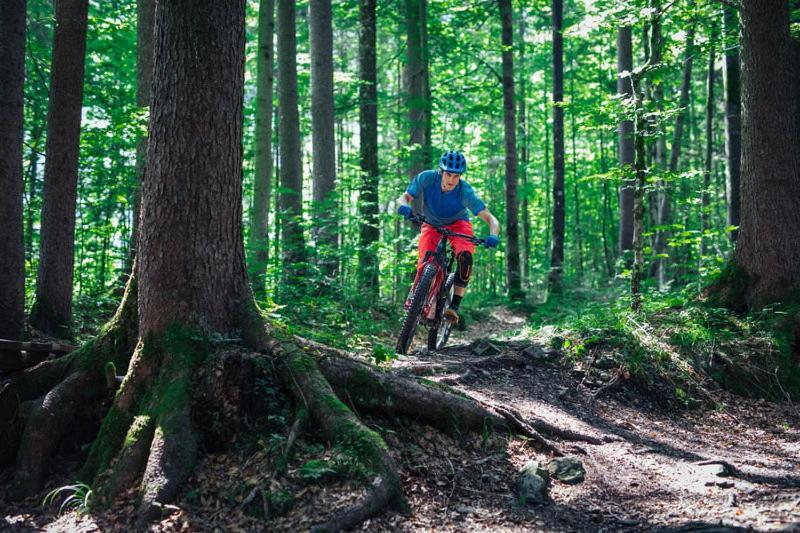 Ferienwohnungen Schantl Schoppernau Esterno foto