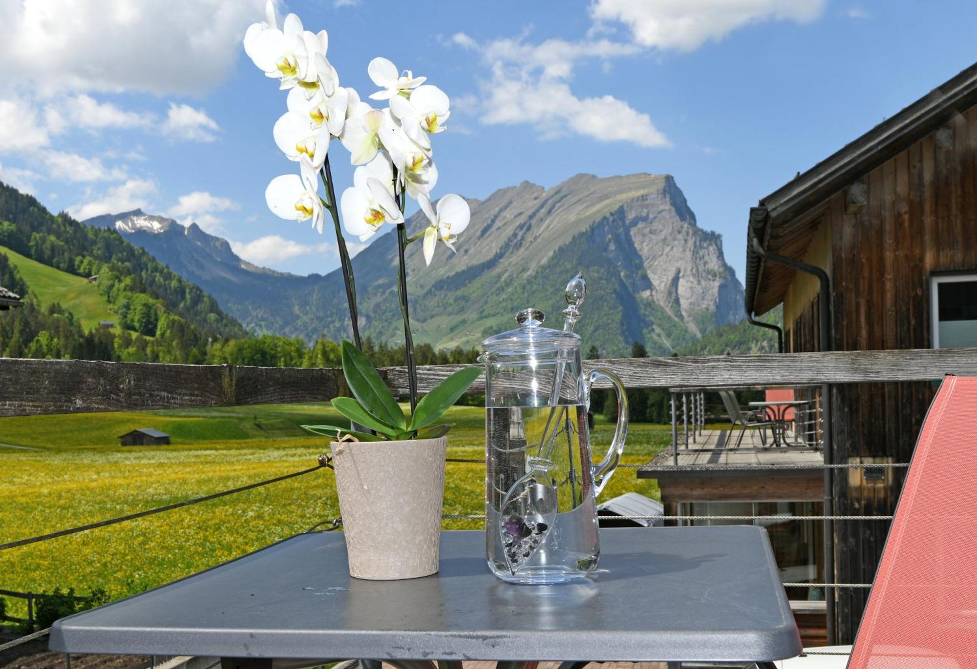 Ferienwohnungen Schantl Schoppernau Esterno foto